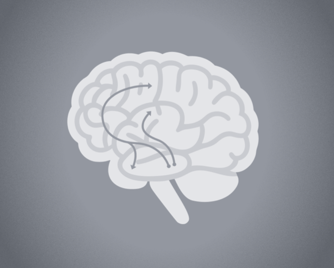Brain icon showing dopamine pathway