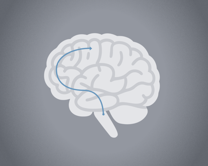 Brain icon showing serotonin pathway